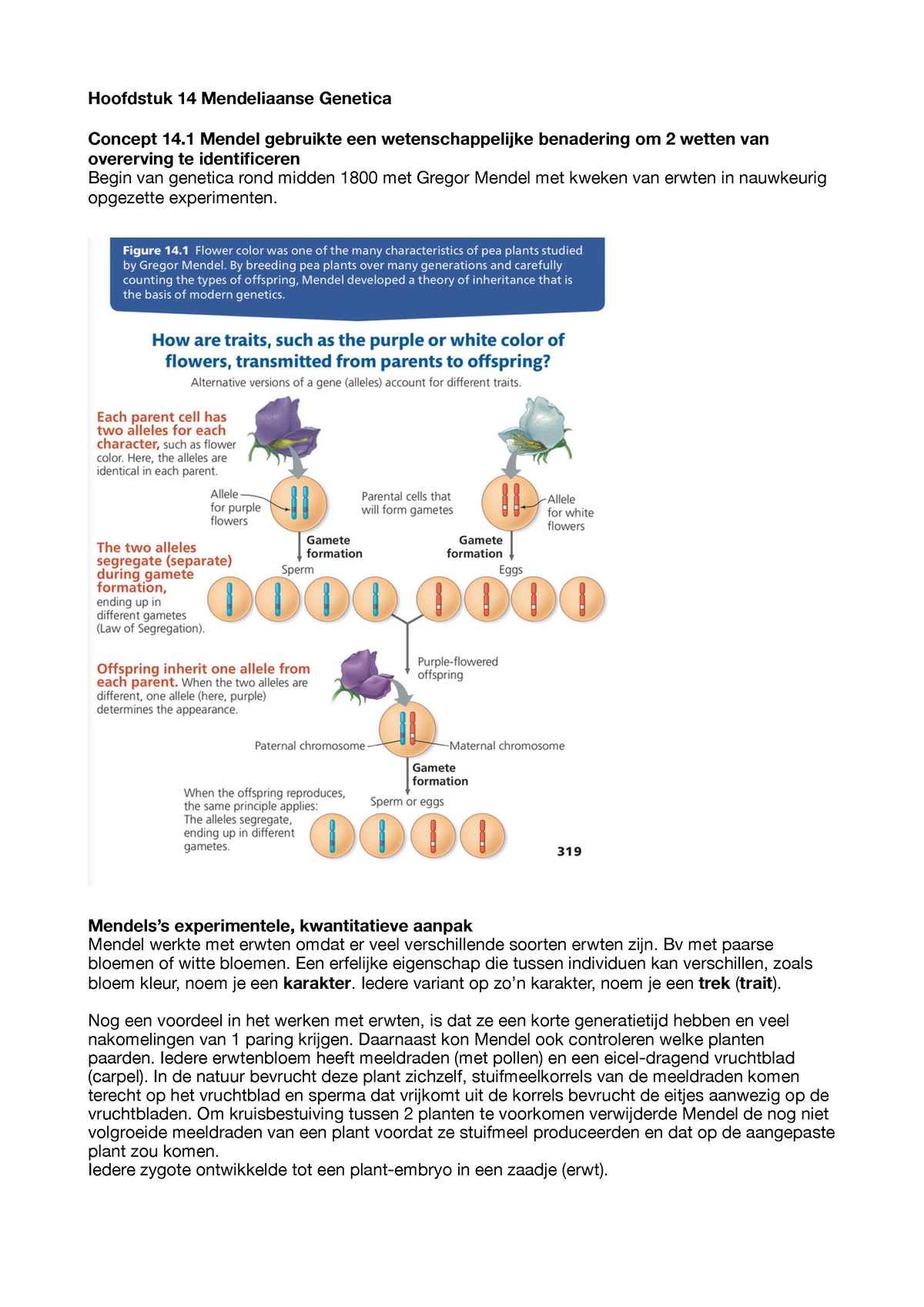 Hoofdstuk 14 Mendelliaanse Genetica - Hoofdstuk 14 Mendeliaanse ...