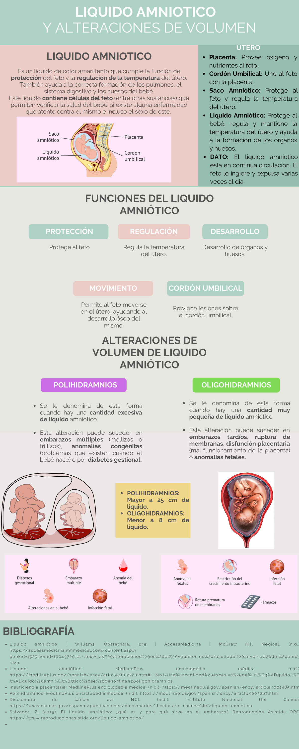 Liquido Amniotico - Infografía-Laboratorio - Saco Amniótico: Protege al ...