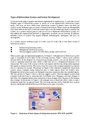Type of information systems and systems development - Until now we have ...