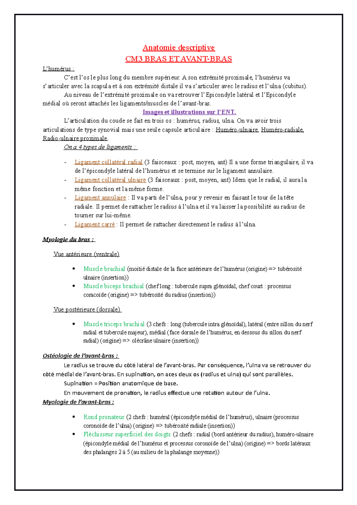 CM3 Bras et AvantBras Anatomie descriptive CM3 BRAS ET AVANTBRAS