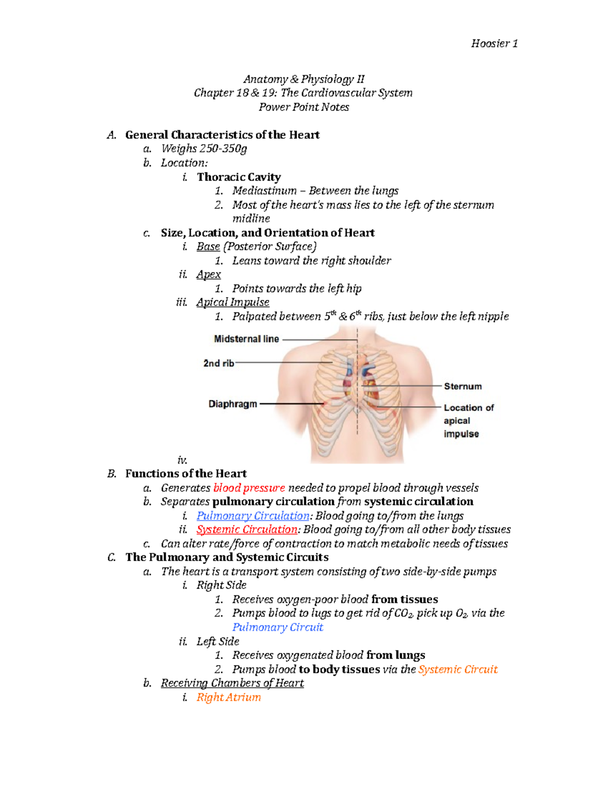 Cardiovascular Notes Part 1 - Anatomy & Physiology II Chapter 18 & 19 ...