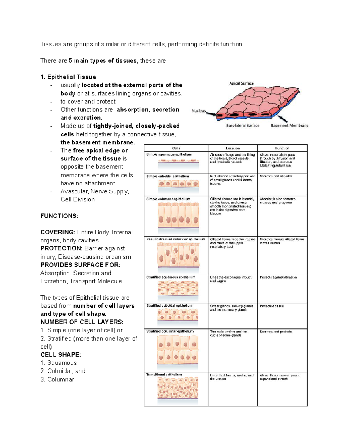 M2 ZOO LAB Animal Tissue - Tissues are groups of similar or different ...