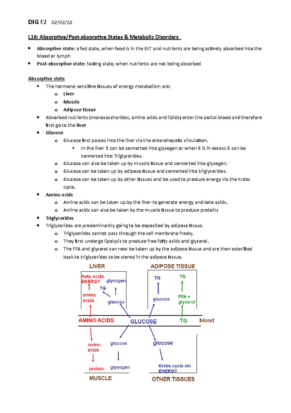 l17-absorptive-and-postabsorptive-states-l16-absorptive-post