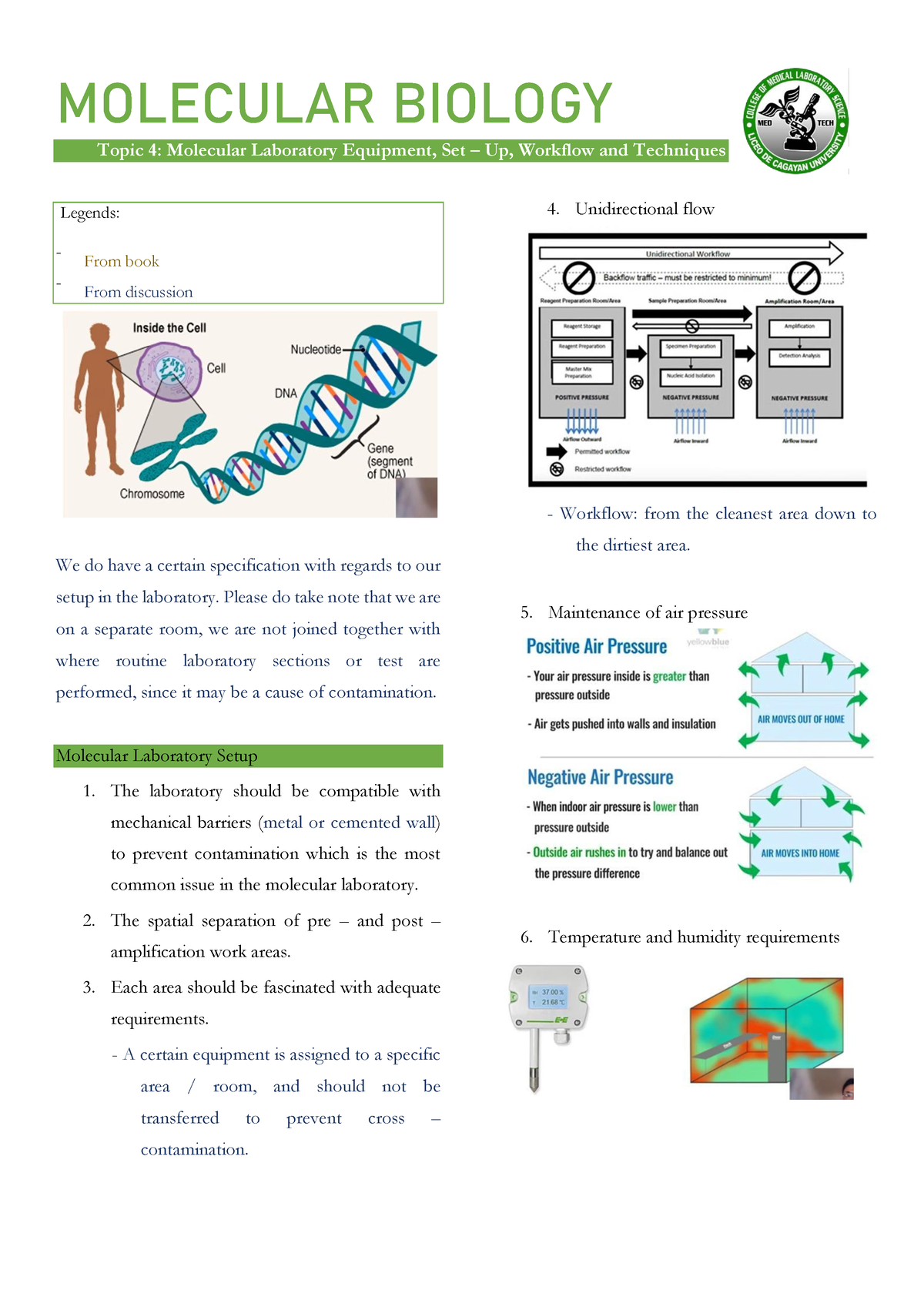 research project in molecular biology