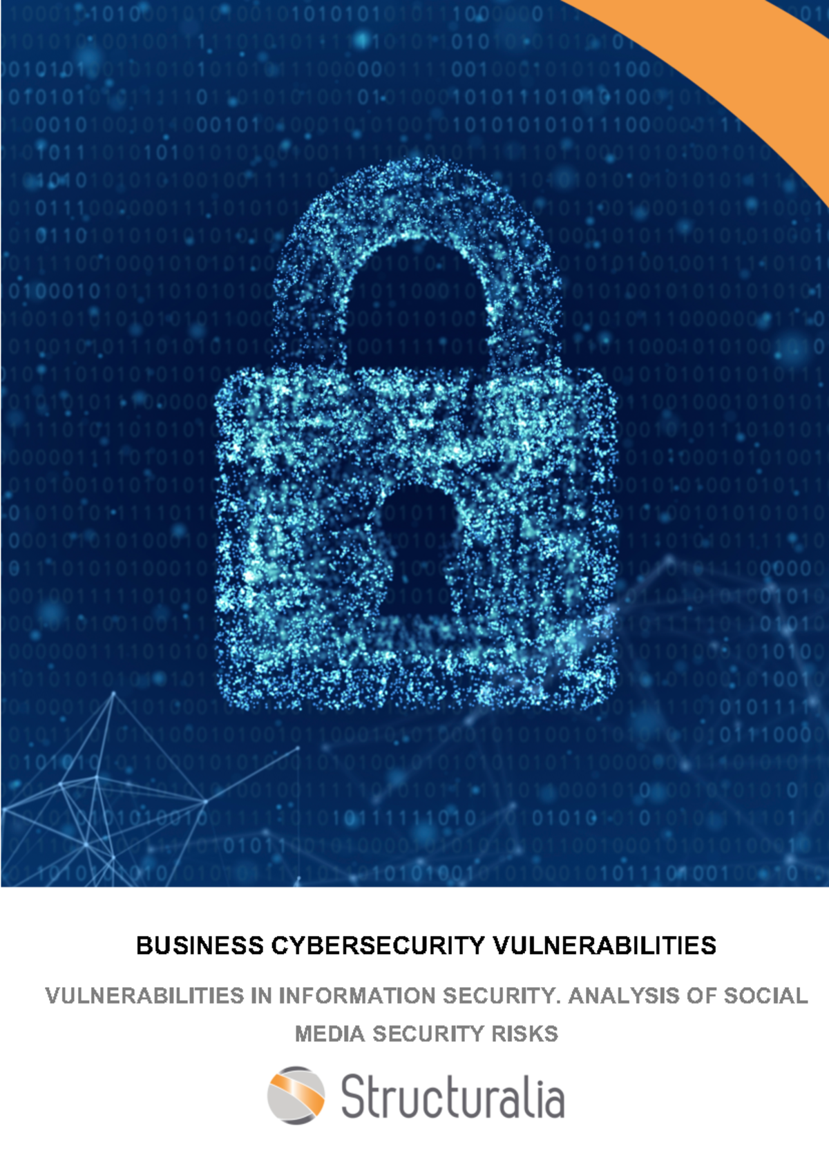 LAD01313 Cybersecurity Vulnerabilities U1S1 - BUSINESS CYBERSECURITY ...