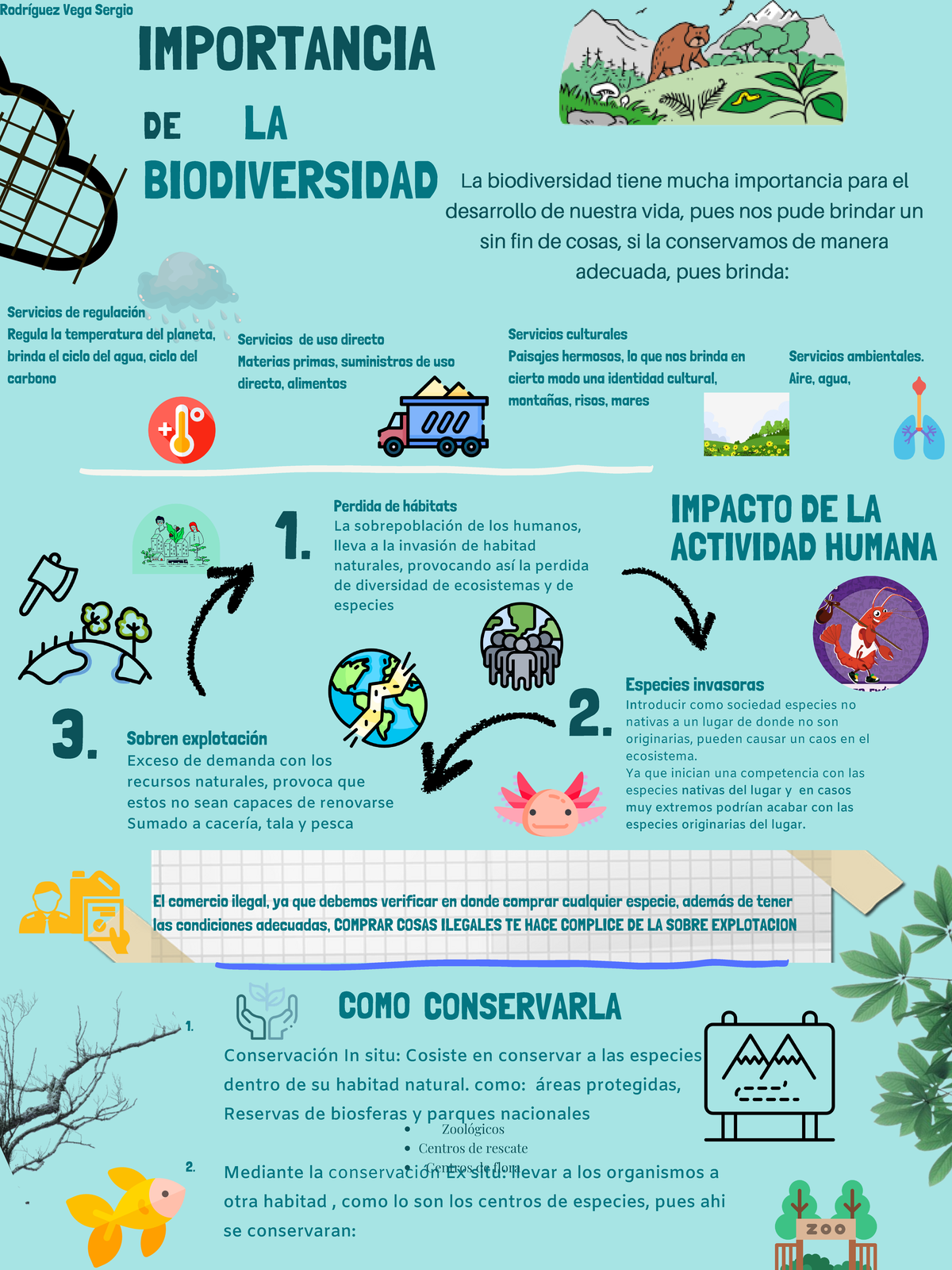 Cartel Importancia de la biodiversidad- Sergio - COMO CONSERVARLA