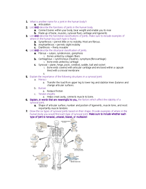 Osseous Tissue Review Guide copy - Name ...