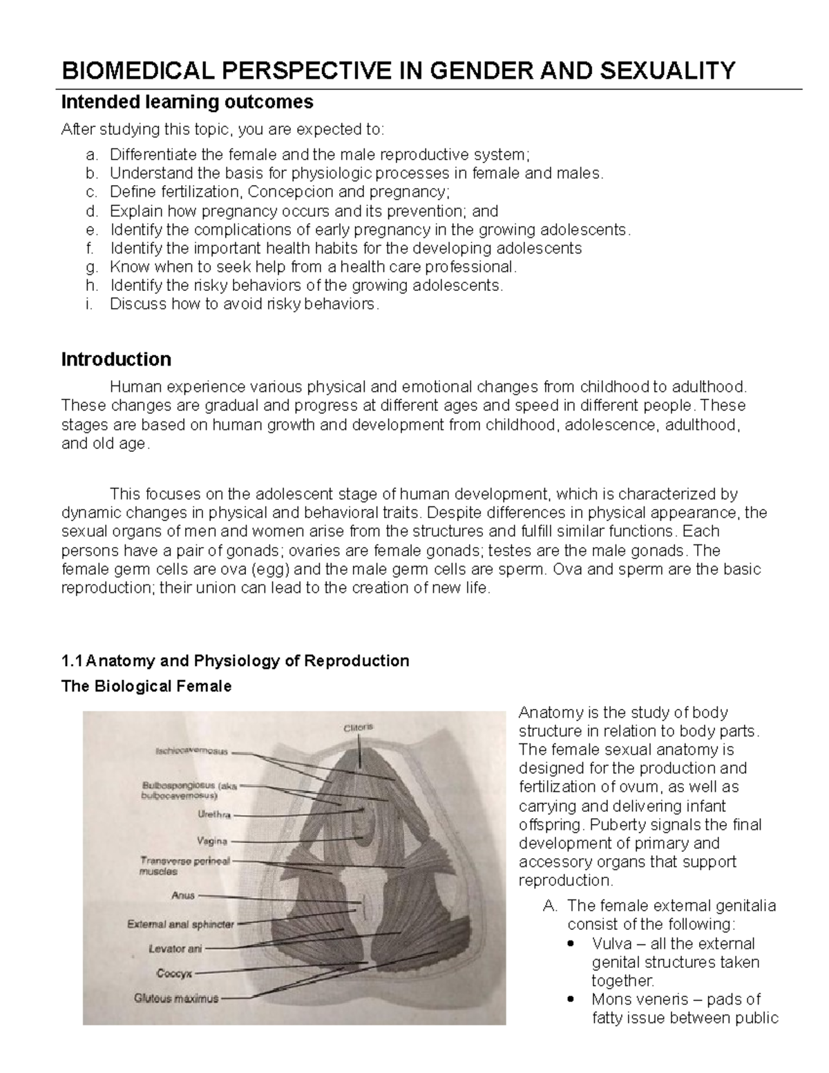 biomedical perspective in gender and sexuality essay