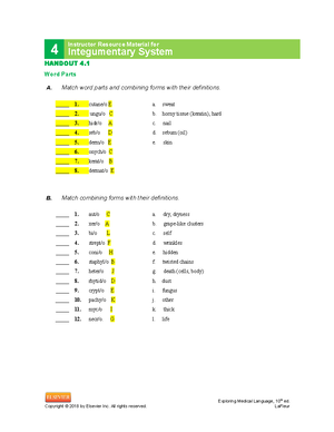 Chapter 4 medical terminology answers