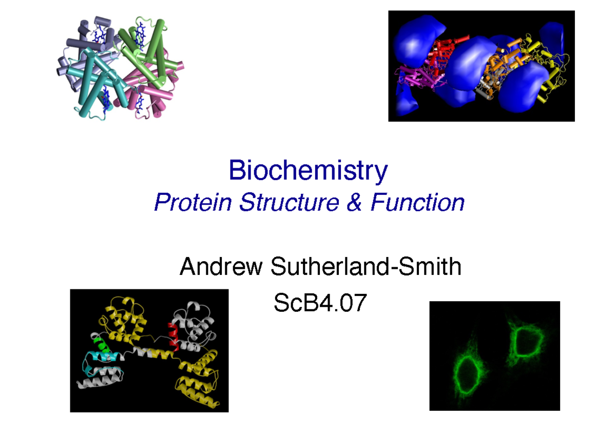 Lecture 1 Biochem-Hb1-1pp - 1 Biochemistry Protein Structure & Function ...