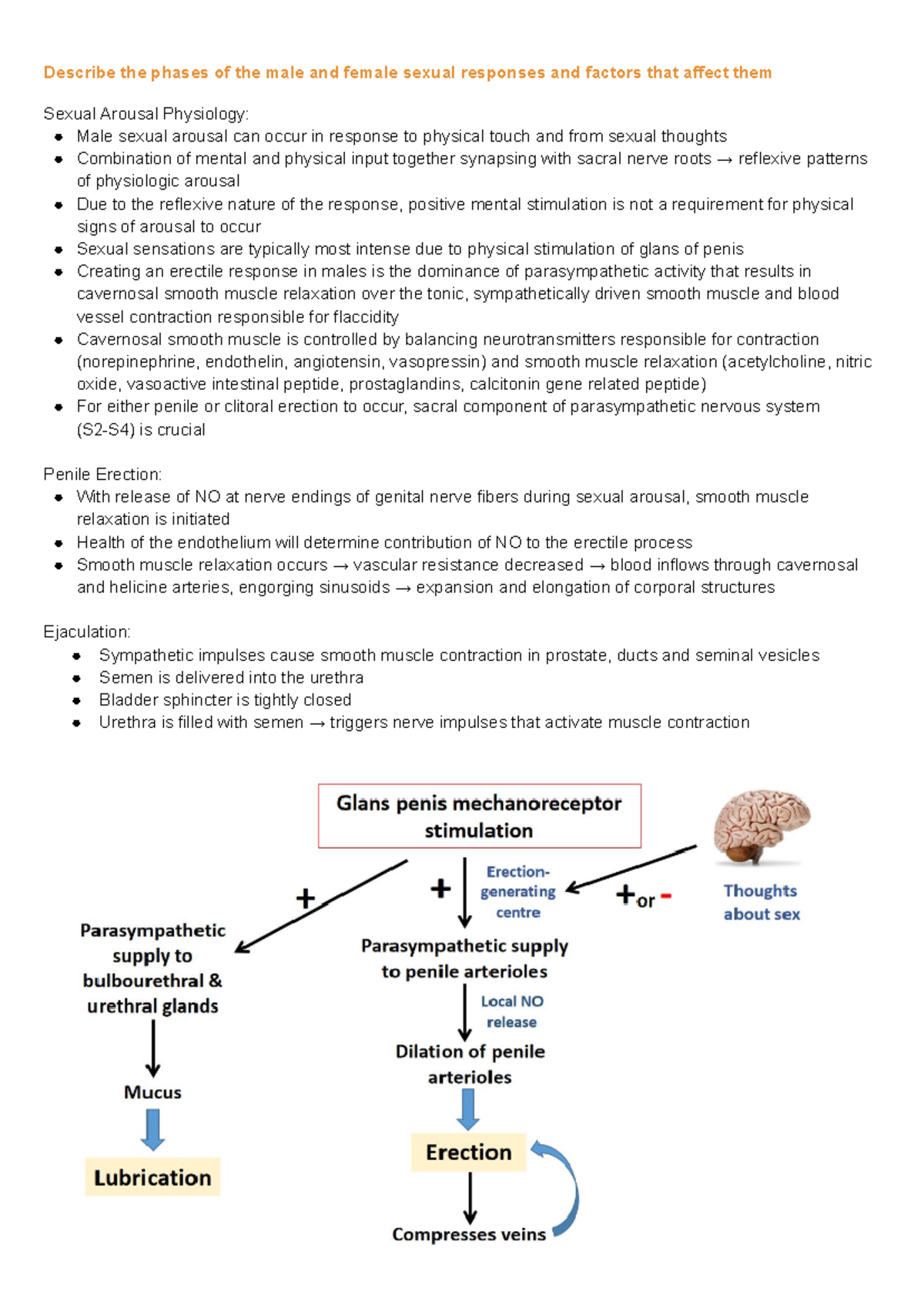 Mc Carthy LOs pbl learning objectives Describe the phases of the