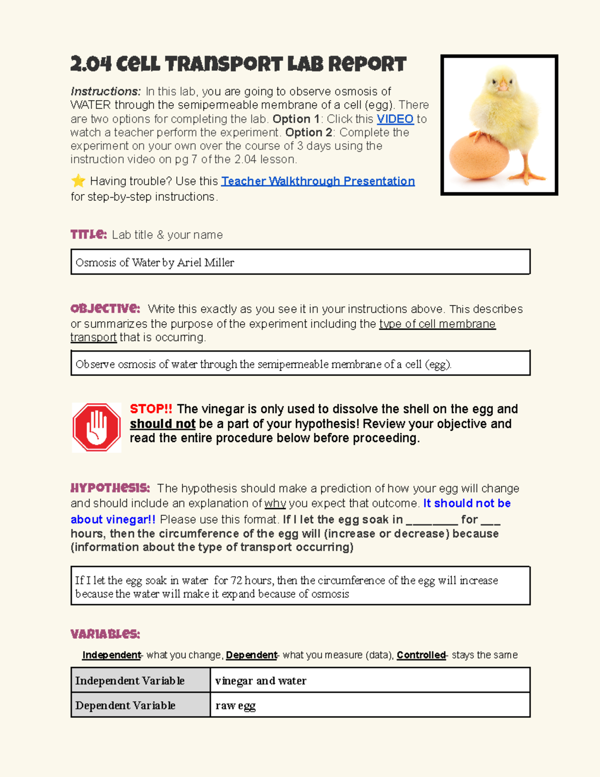 Copy of 2 04 Lab Report Template-v23 - 2 Cell Transport Lab Report ...