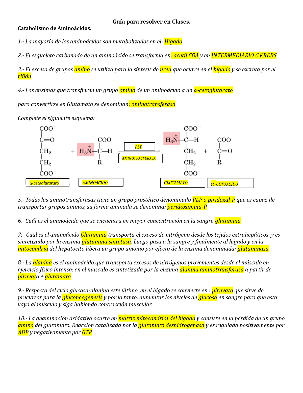 Guía De Catabolismo De Aminoacidos 2023 - Catabolismo De Aminoácidos ...