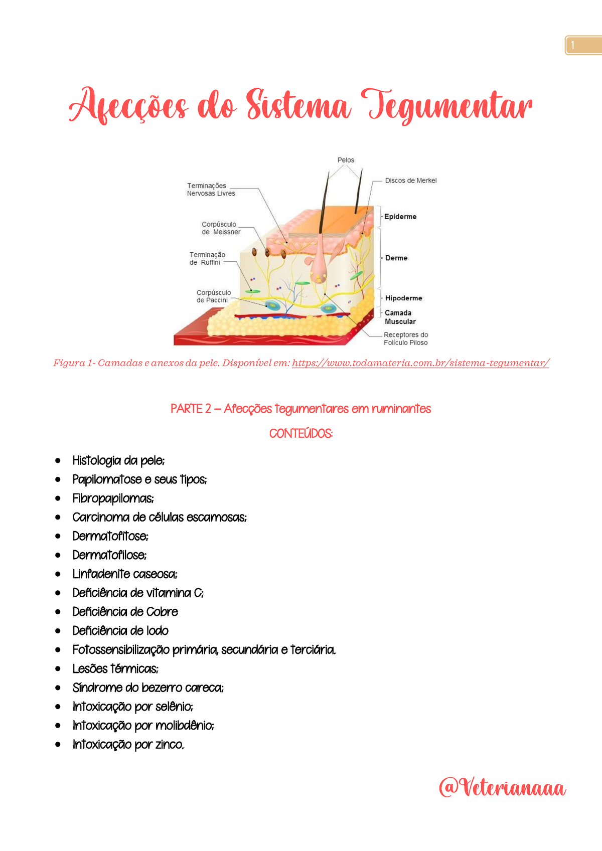 Afecções Do Sistema Tegumentar - Resumo Completo Sáporra E EM PDF ...