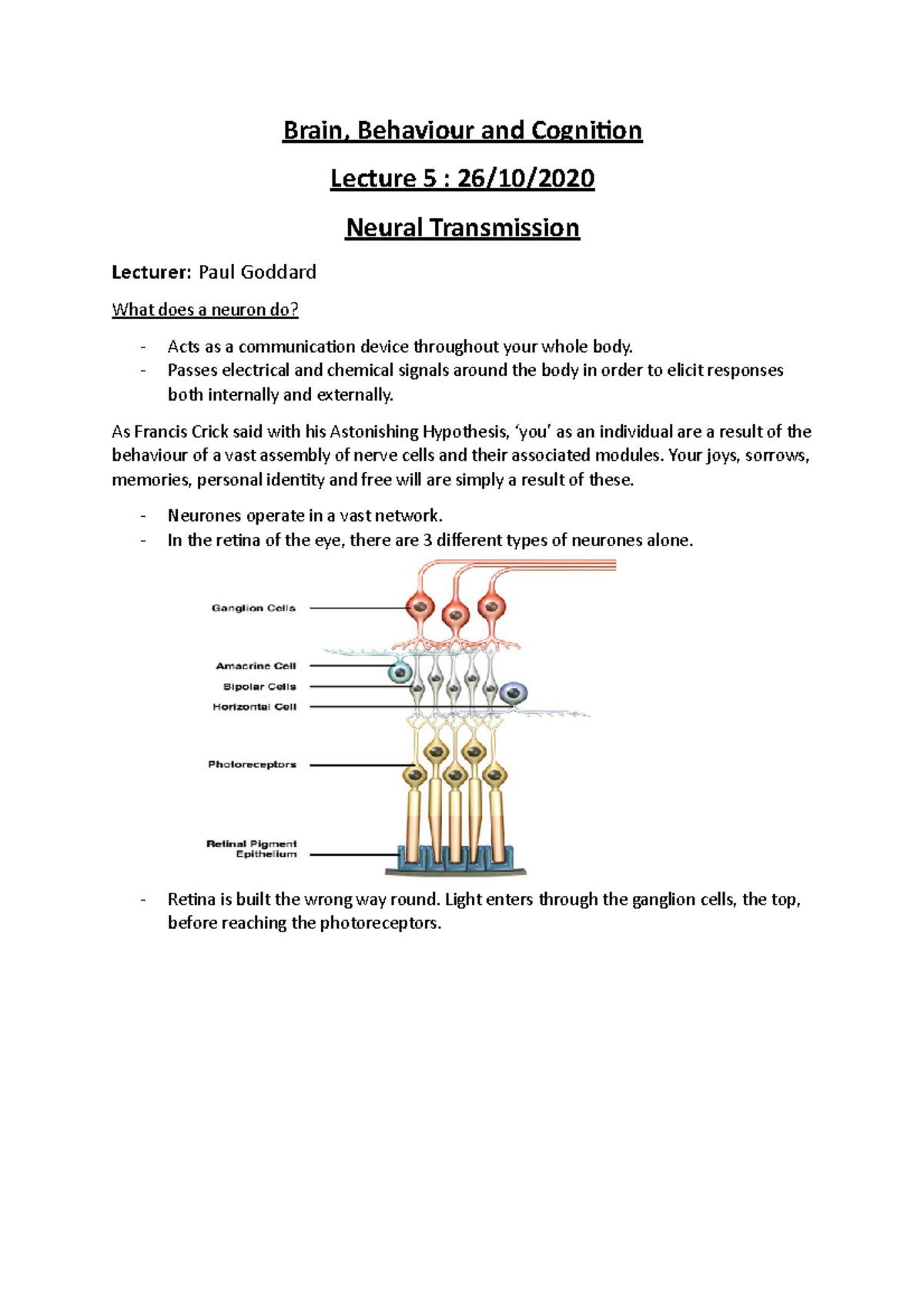 BBC - L5 - Neural Transmission I - Brain, Behaviour and Cognition ...