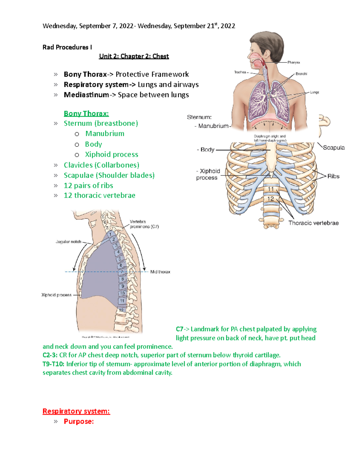 Unit 2- Chest Chapter Notes - Rad Procedures I Unit 2: Chapter 2: Chest 