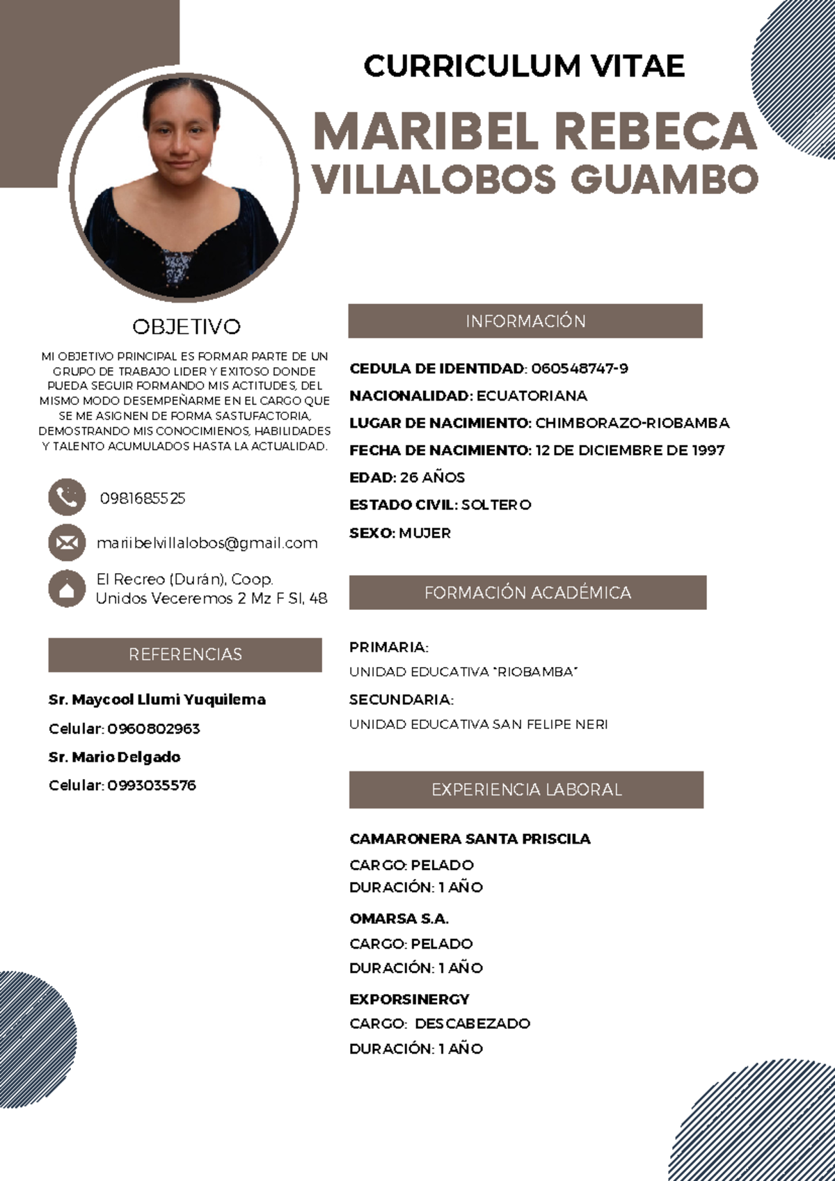 Blue professional modern CV resume - MARIBEL REBECA INFORMACIÓN ...