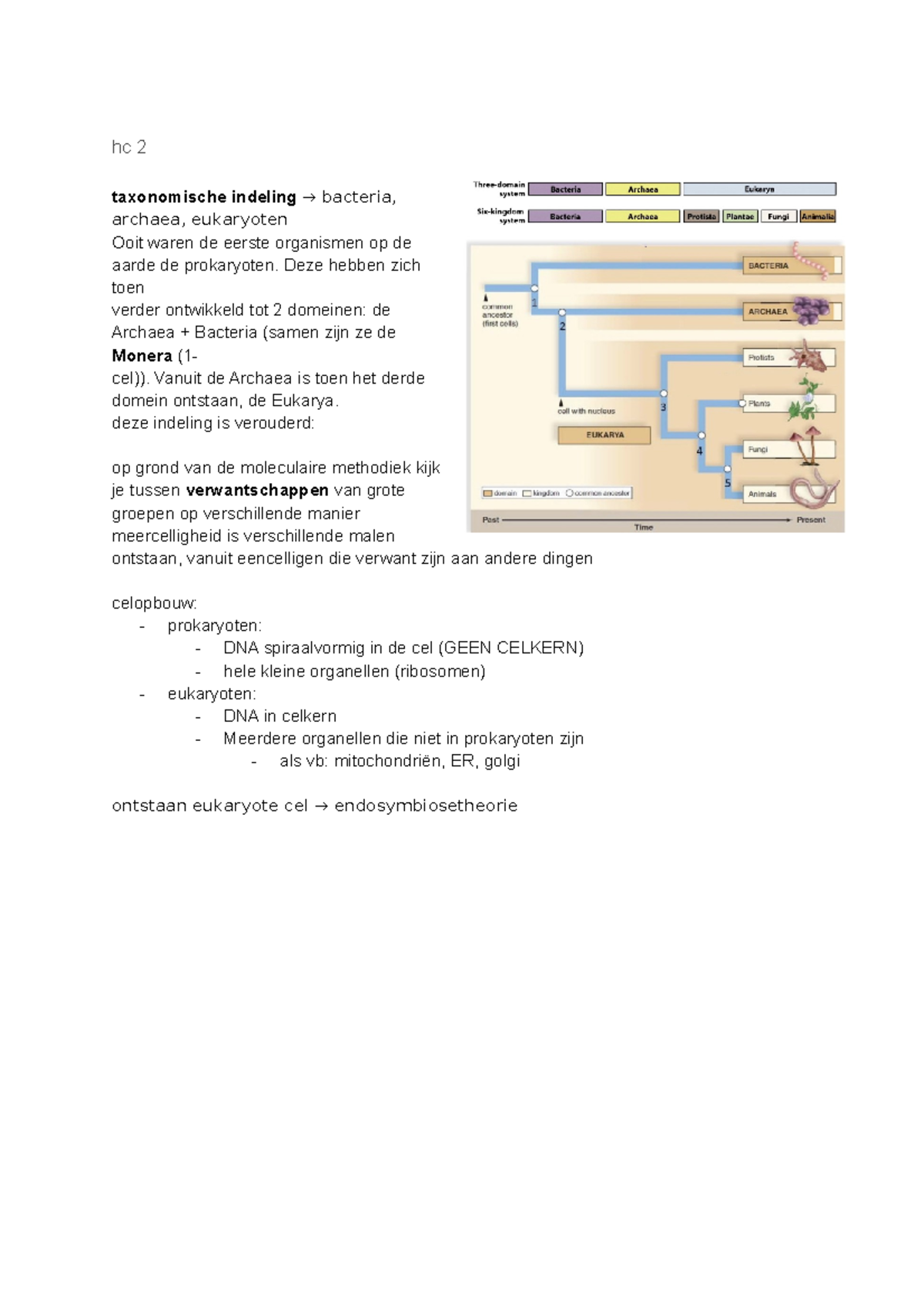 Organisme Hc 2 Aantekeningen - Hc 2 Taxonomische Indeling → Bacteria ...