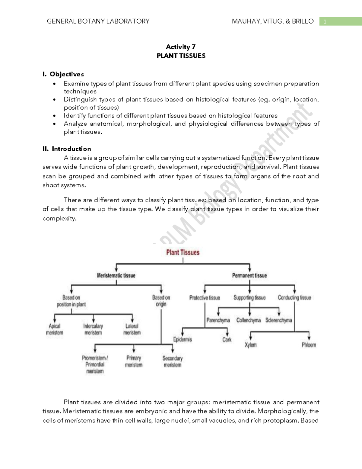 activity-7-plant-tissues-activity-7-plant-tissues-i-objectives