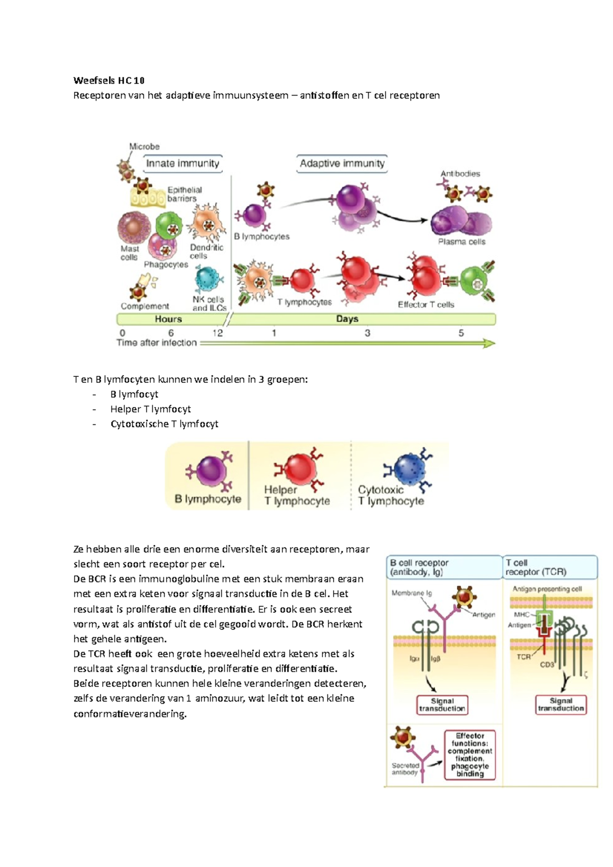 HC 10 Immunologie - Weefsels HC 10 Receptoren Van Het Adaptieve ...