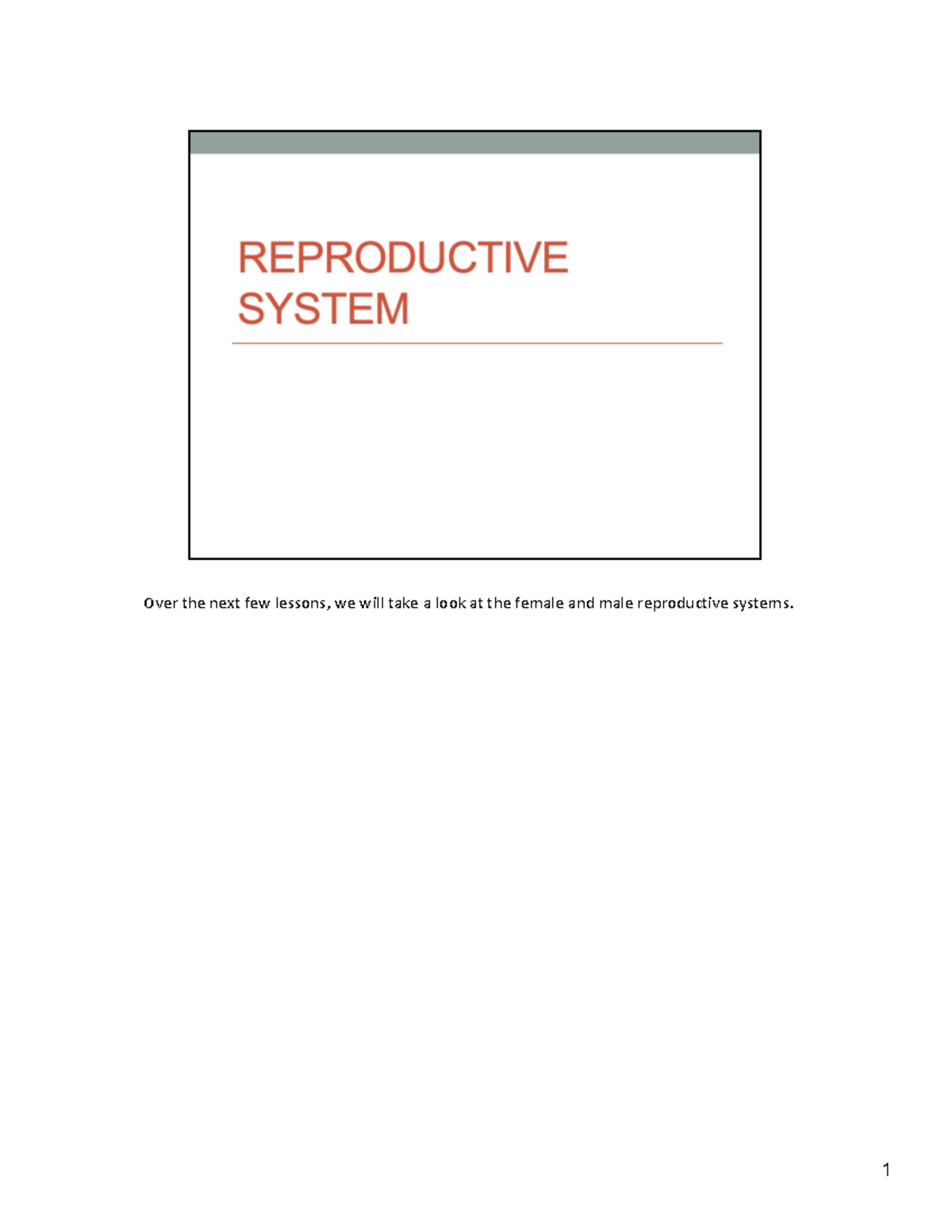 Chapter 27 Reproductive System - Over The Next Few Lessons, We Will ...