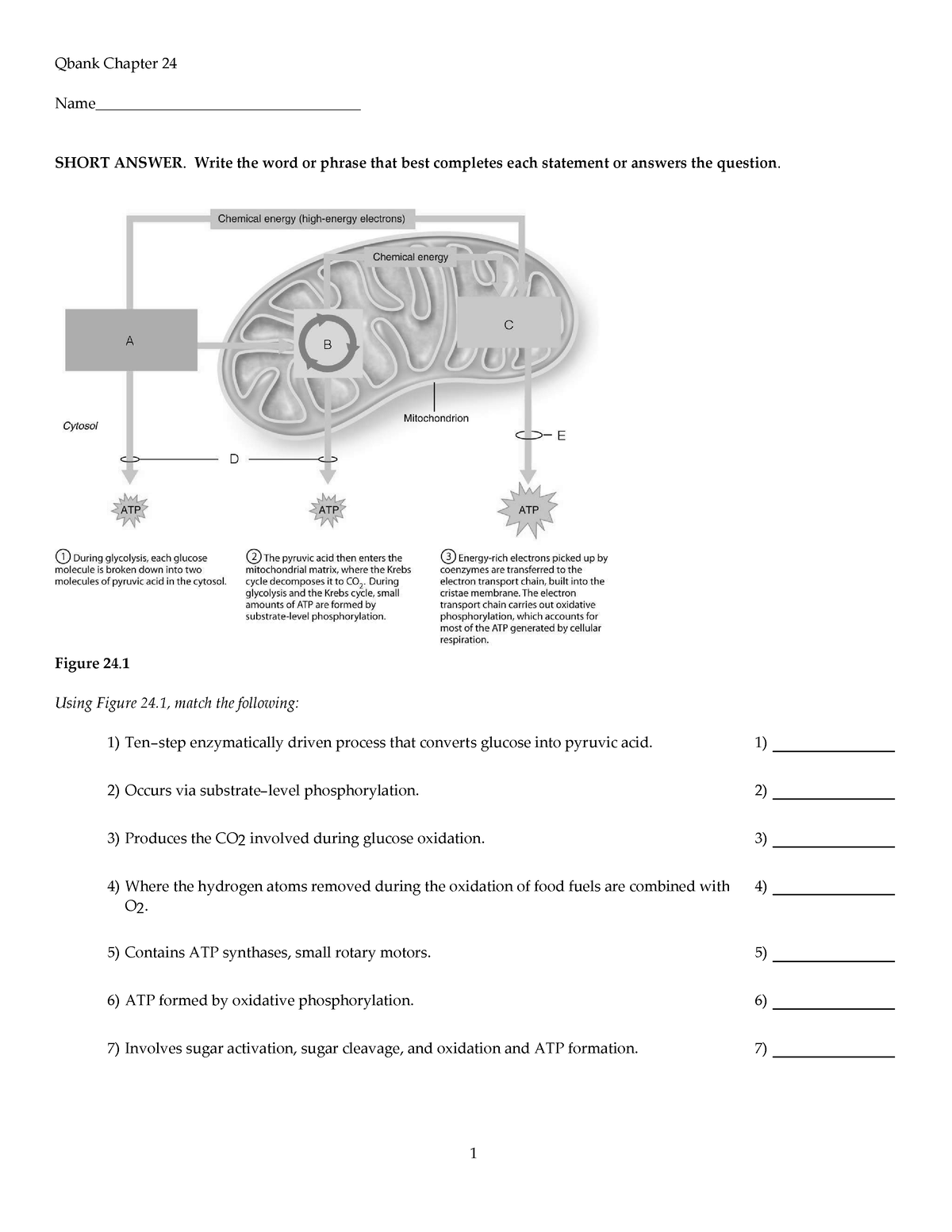 Chapter 24 q bank - study tool - Qbank Chapter 24 Name