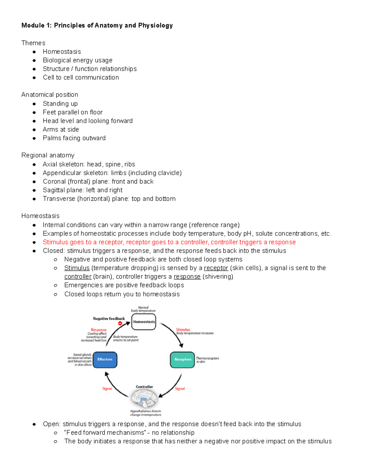 Exam 1 - Redden and Kimball - Principles of anatomy and physiology ...