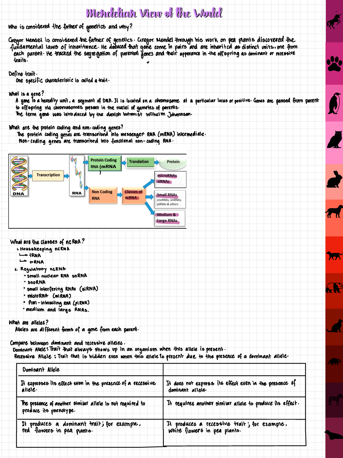 Punnet square - Molecular bio - Mendelian View of the WorldMendelian ...