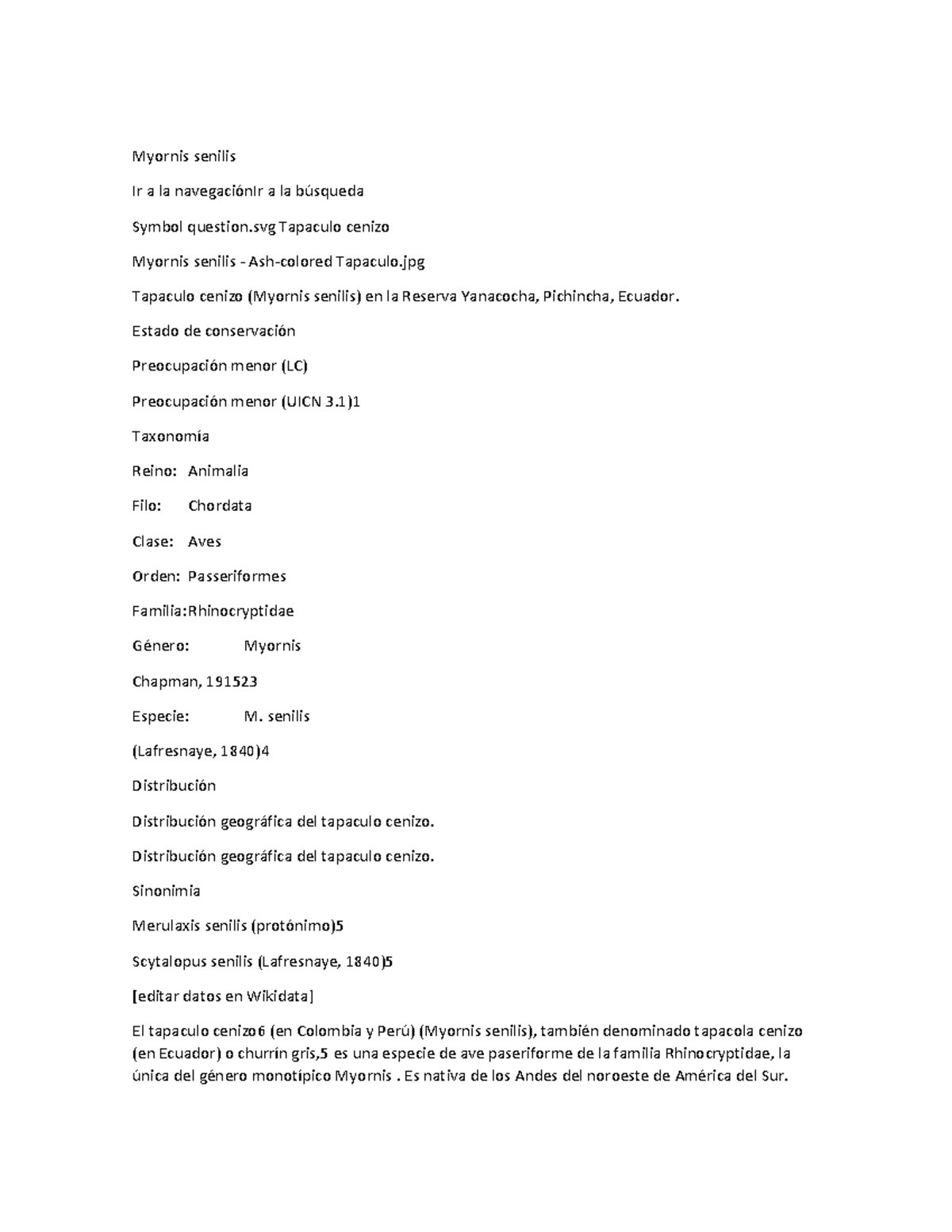 Myornis senilis ,vkmfbngsodifp,`pfaoekgijmbgklavñ,srgkml Myornis