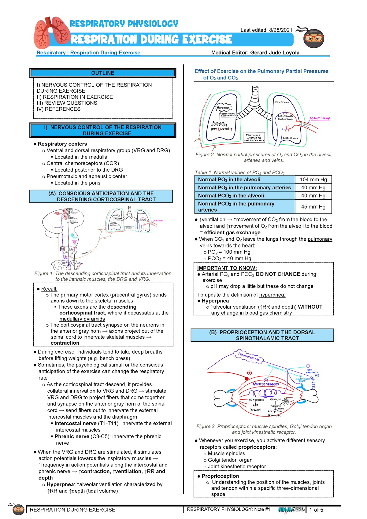 Respiration During Exercise atf - RESPIRATION DURING EXERCISE ...