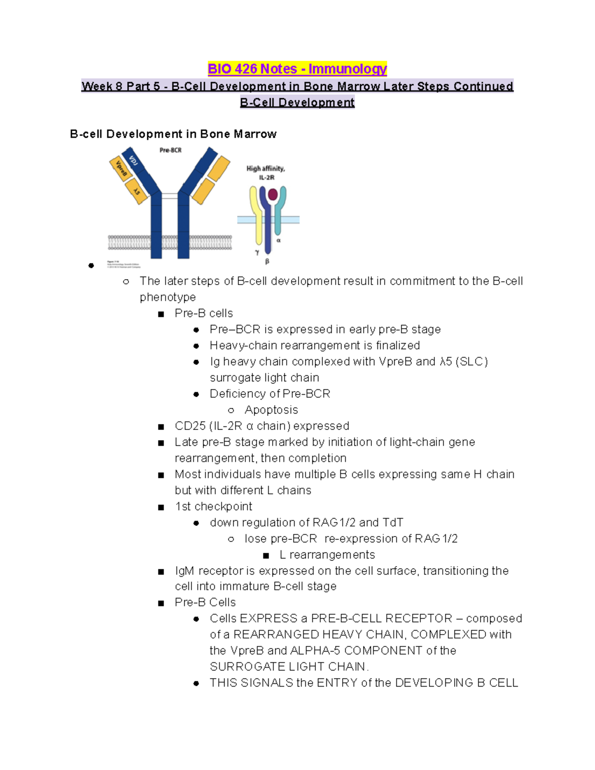 BIO 426 Week 8 Lecture Notes Part 5 - B Cell Development Later Steps ...