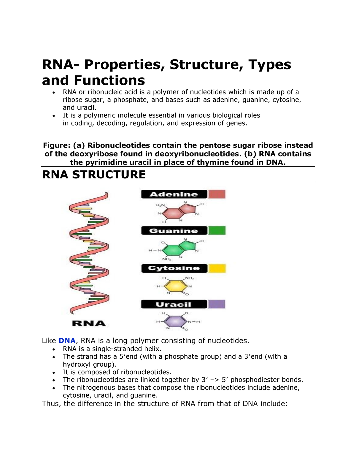 Types Of Rna Biochemistry Iv Studocu