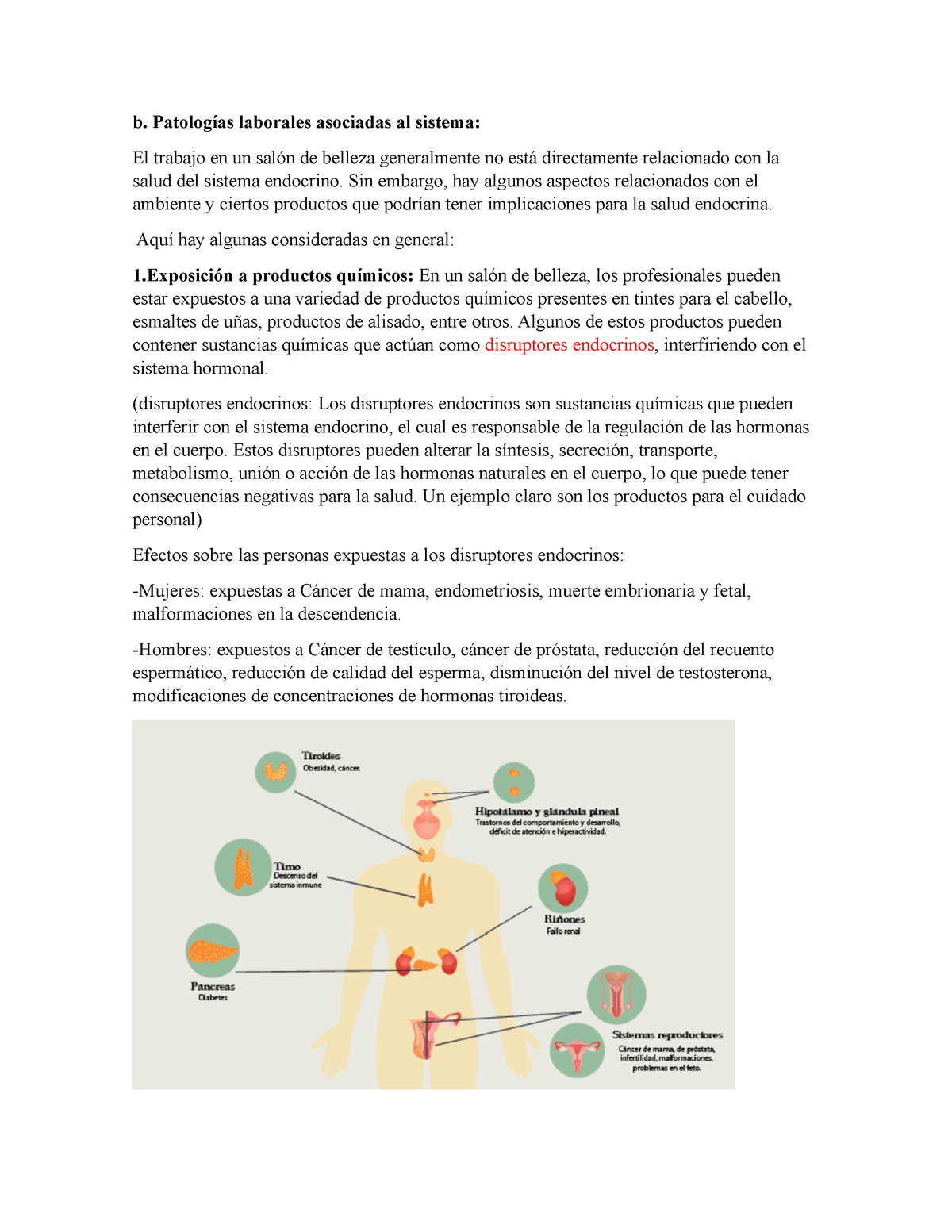 Punto B Y C Sistema Endocrino - B. Patologías Laborales Asociadas Al ...