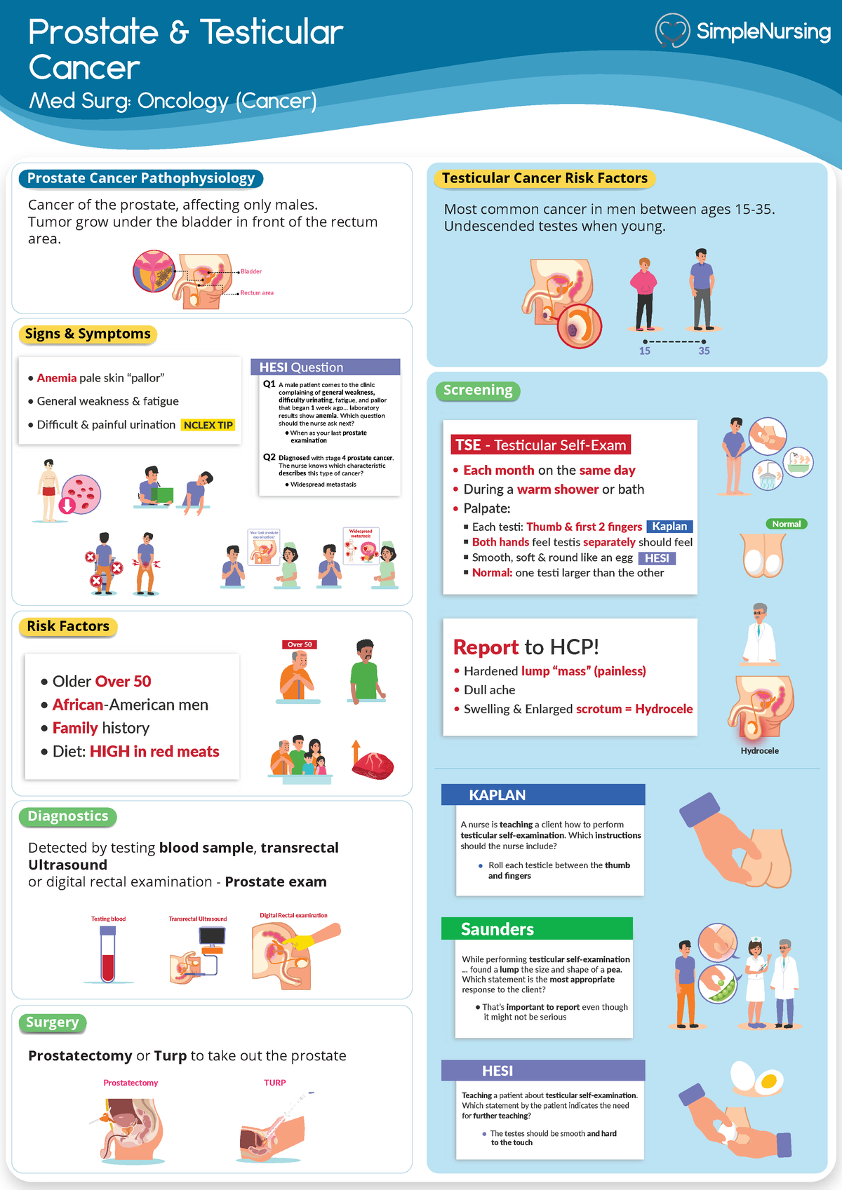 11. Prostate & Testicular Cancer - Prostate & Testicular Cancer Bladder ...