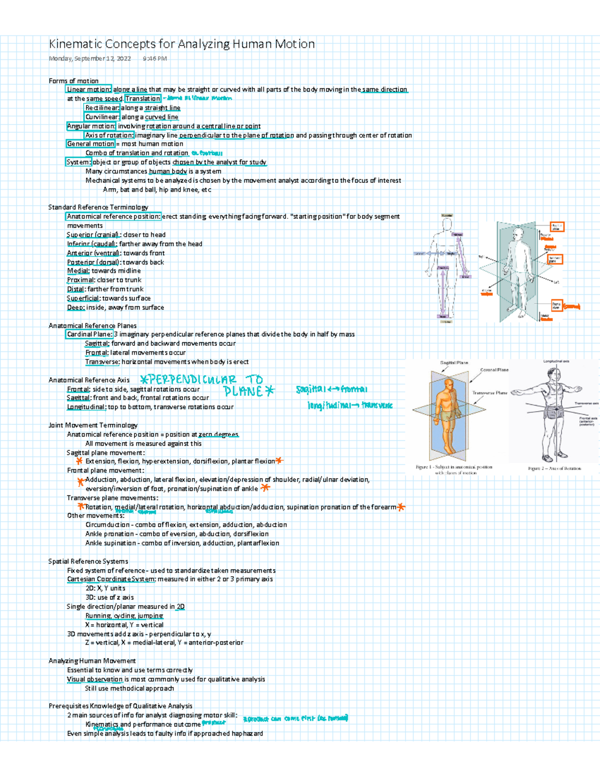 Kinematic Concepts For Analyzing Human Motion - Studocu