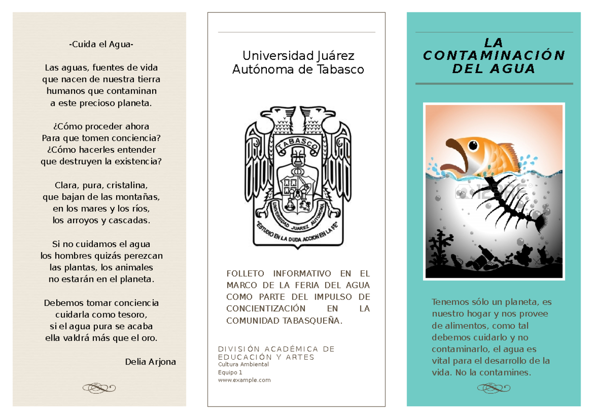 LA Contaminacion DEL AGUA Folleto -Cuida el AguaLas aguas, fuentes de