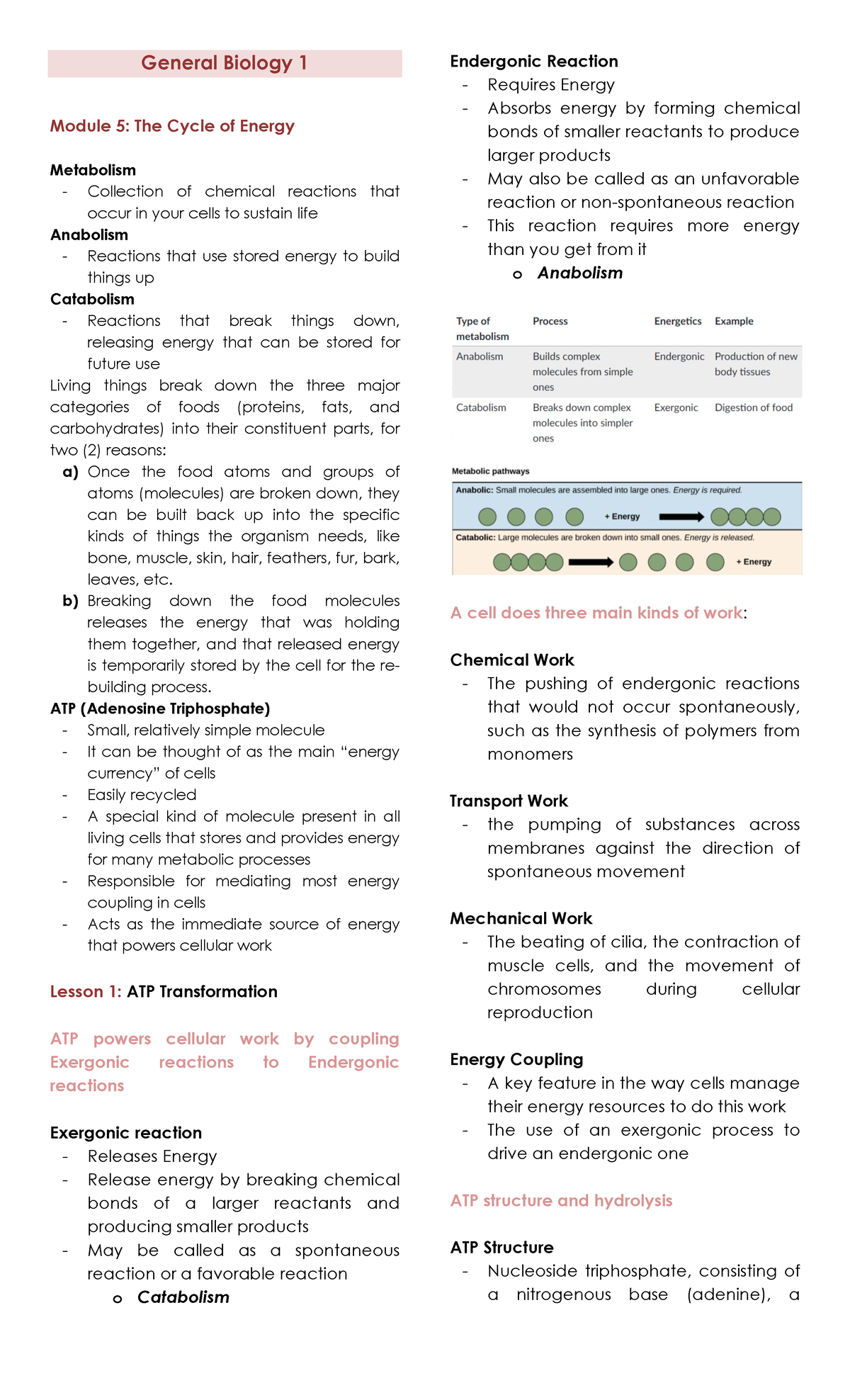 General Biology 1 Reviewer - General Biology 1 Module 5: The Cycle Of ...