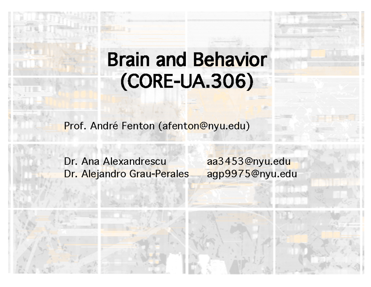 COREUA306 Brain and Behavior Lecture 1 - Brain and Behavior (CORE-UA ...