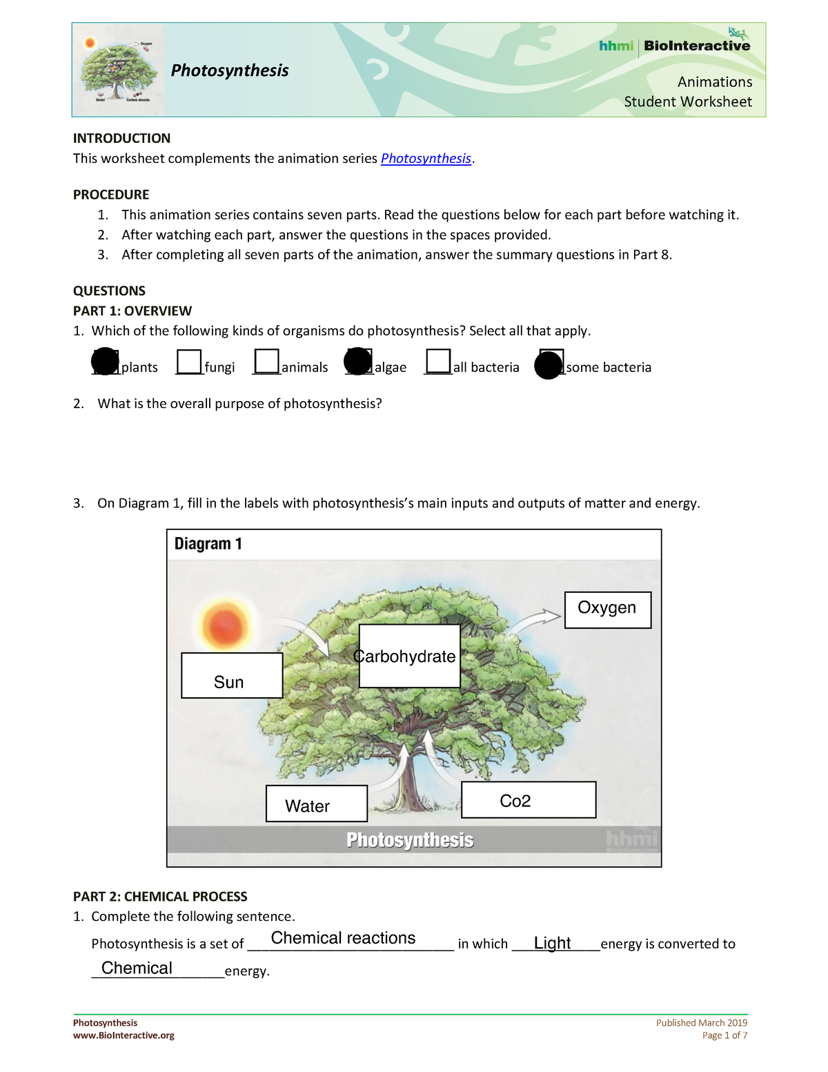 Photosynthesis-Student WS-animation 2 - Photosynthesis Published March ...