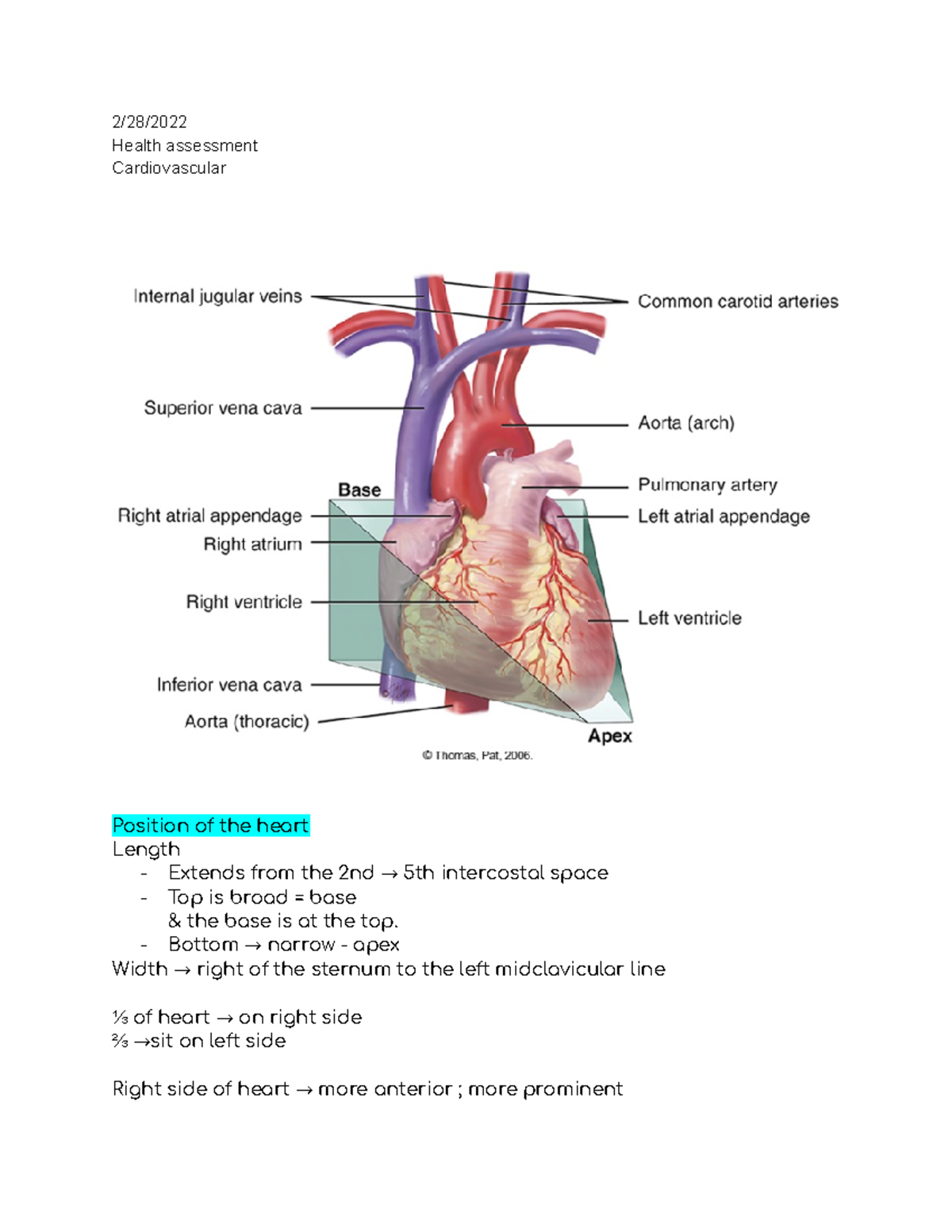 Cardiovascular , health assessment 2/28/ Health assessment