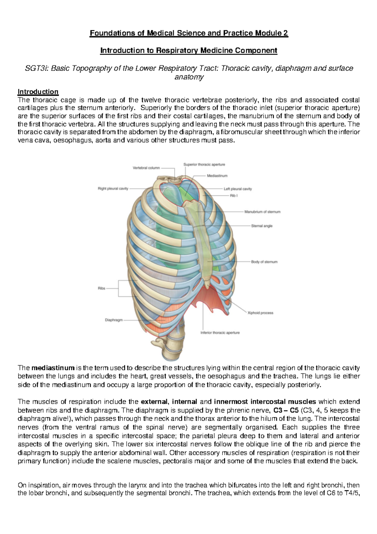 IRM SGT 3 - Worksheet - Foundations of Medical Science and Practice ...