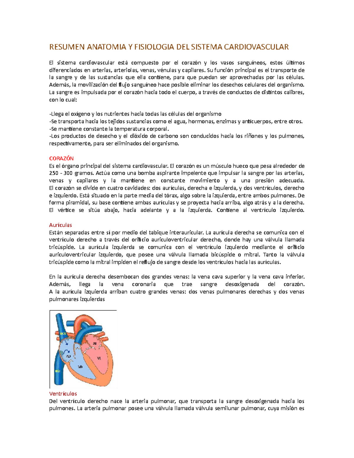 transportar sangre oxigenada al corazón