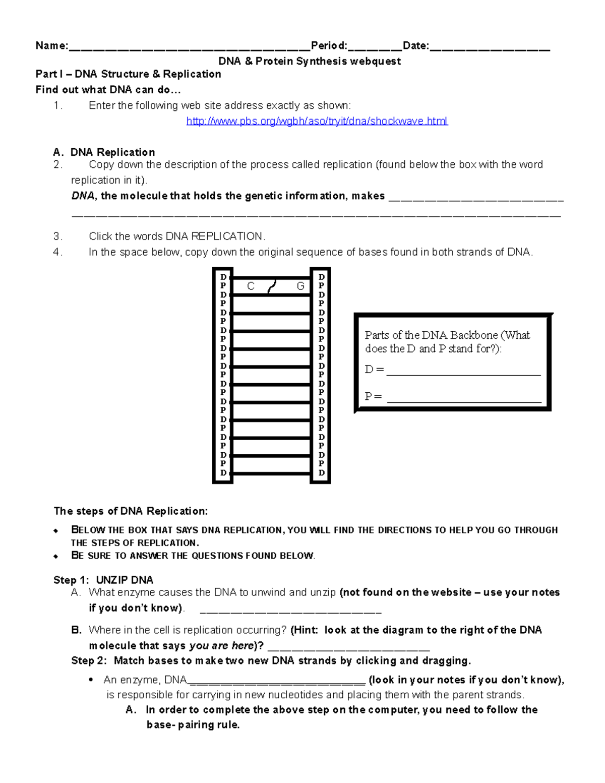 Dna and protein synthesis webquest Name