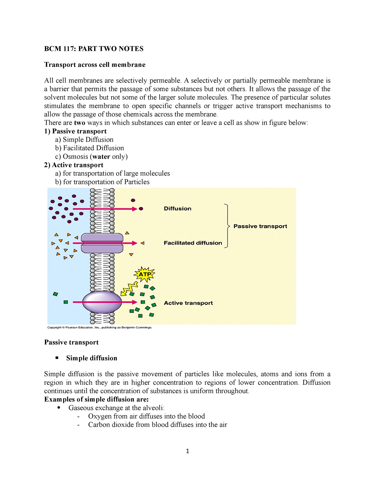 Transport - BCM 117: PART TWO NOTES Transport Across Cell Membrane All ...