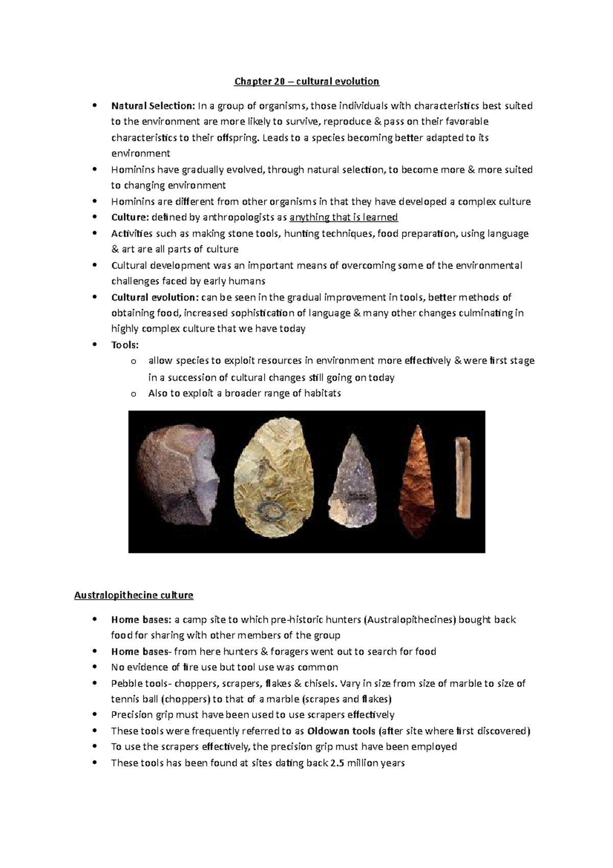 Chapter 20 - cultural evolution - Chapter 20 – cultural evolution ...