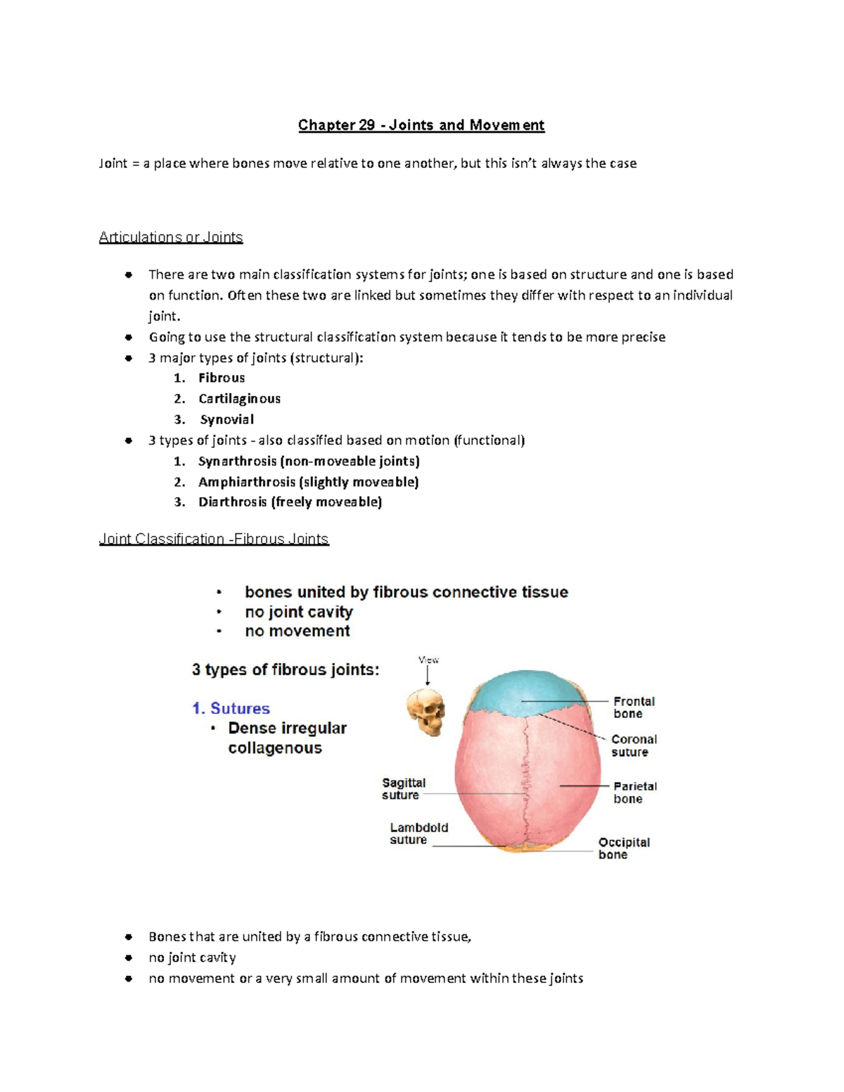 Chapter 29 - Joints and Movement - Chapter 29 - Joints and Movement ...