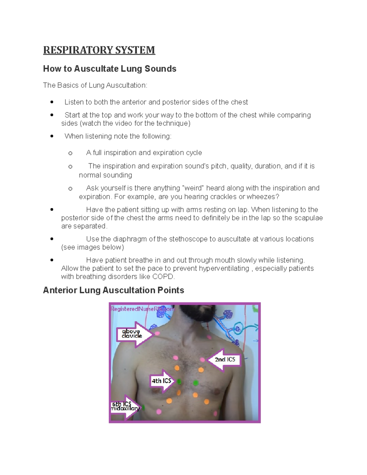 Respiratory System RESPIRATORY SYSTEM How to Auscultate Lung Sounds