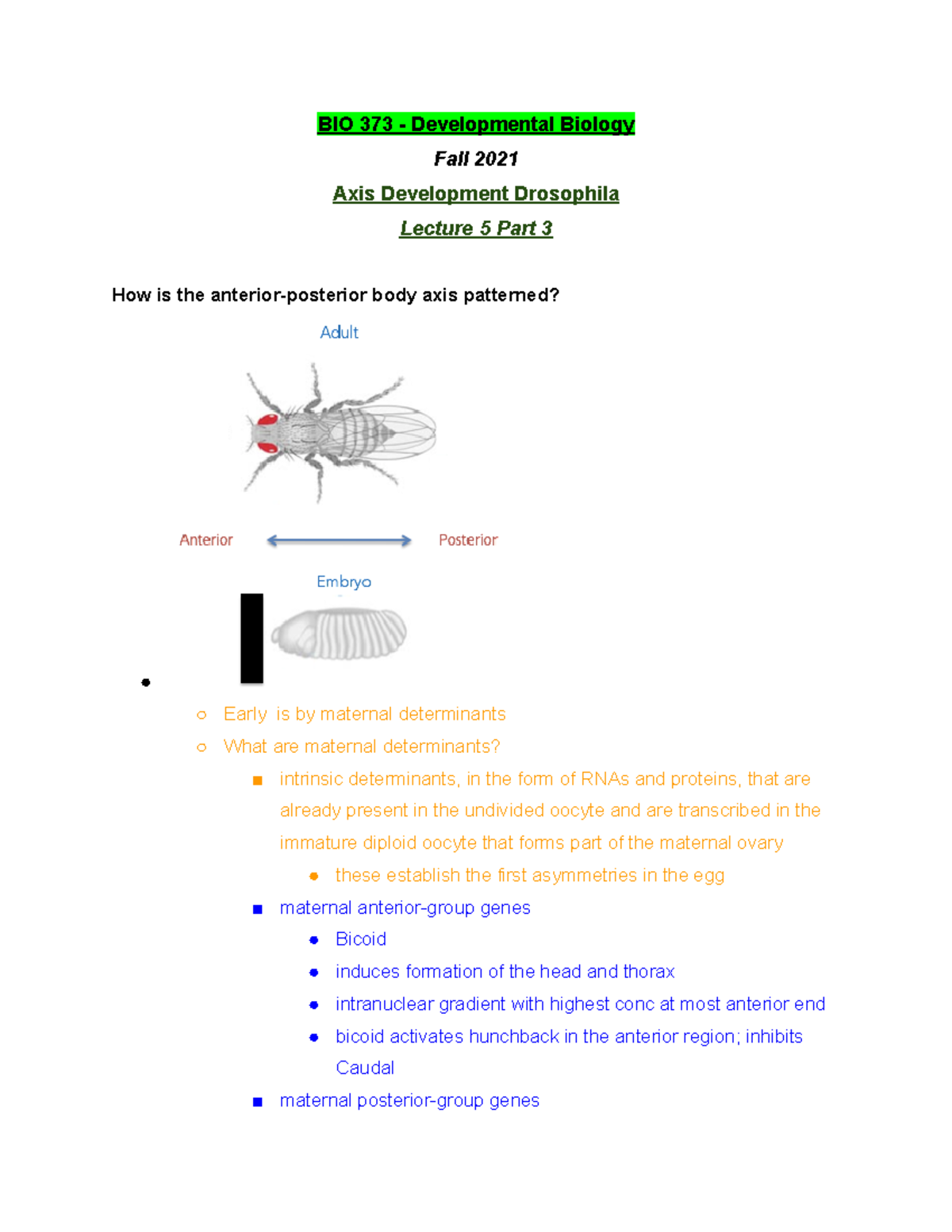 BIO 373 Lecture 5 Part 3 - Fall 2021 - BIO 373 - Studocu