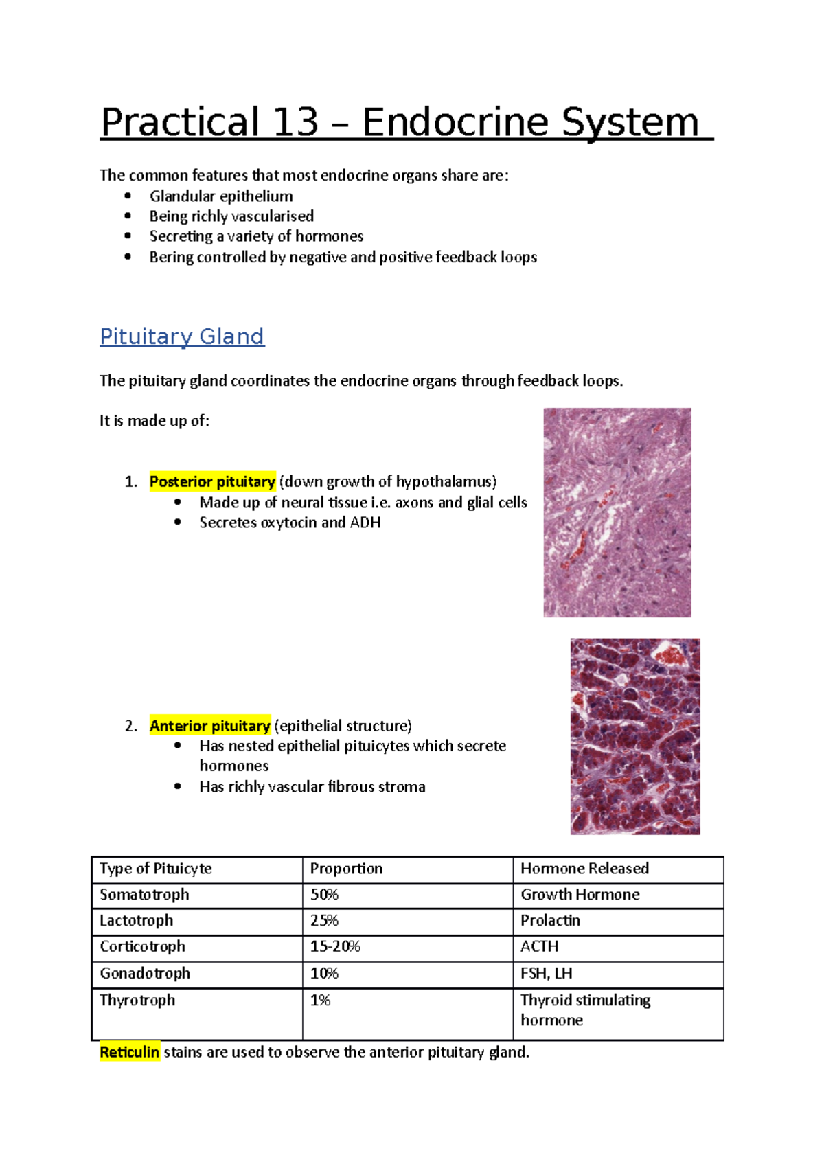 Practical 13 - Endocrine System - Practical 13 – Endocrine System The ...
