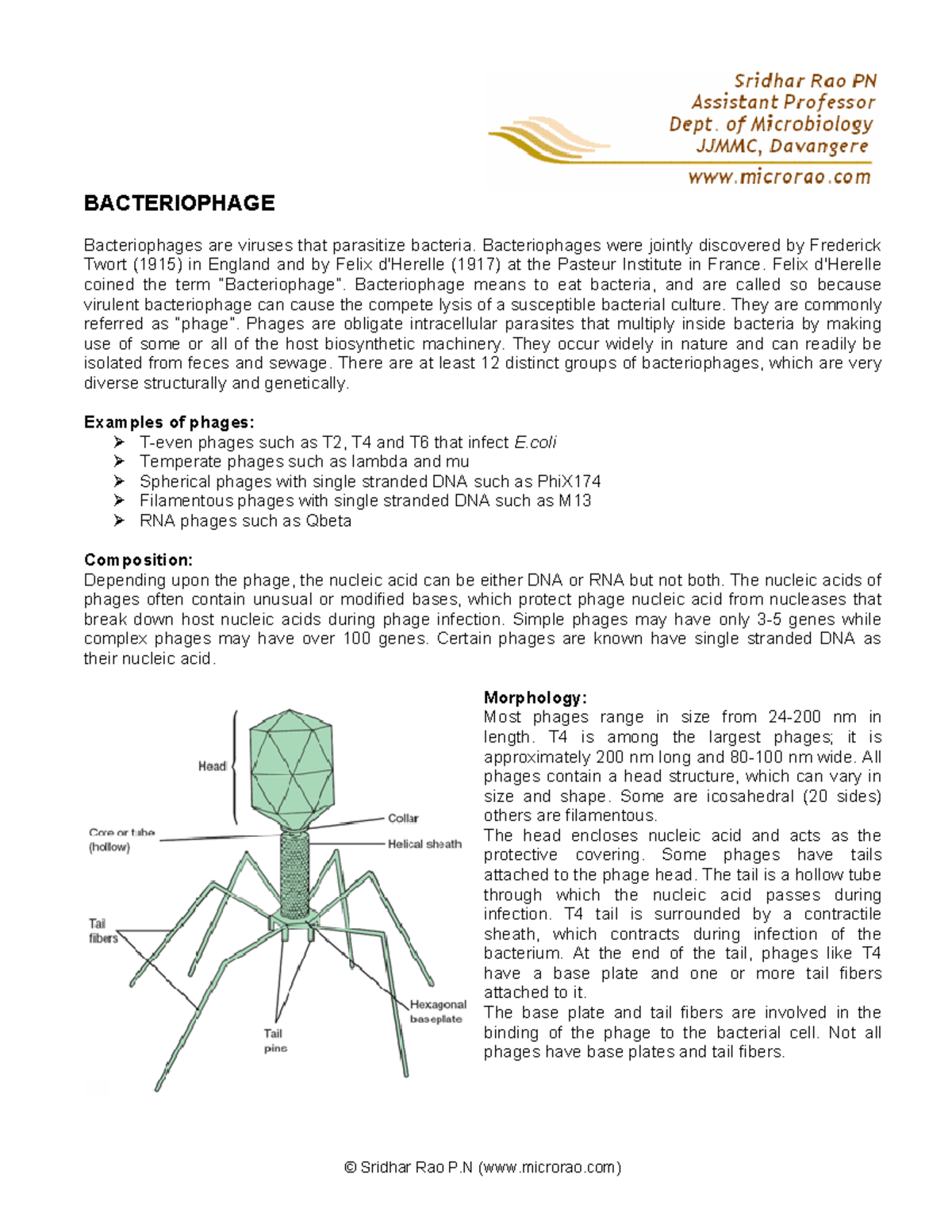 Bacteriophage BACTERIOPHAGE Bacteriophages are viruses that